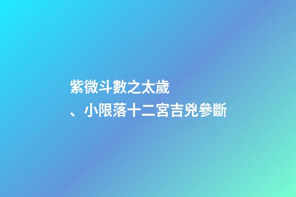 紫微斗數之太歲、小限落十二宮吉兇參斷